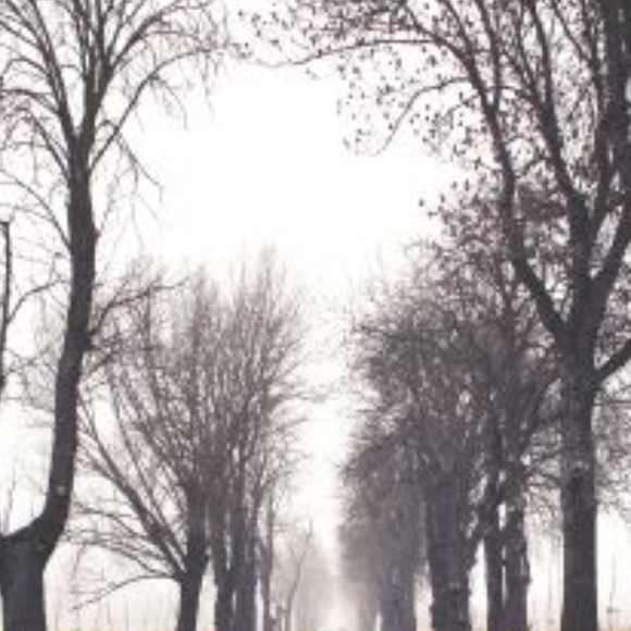 Meet your Posher, Keith - Picture 1 of 1